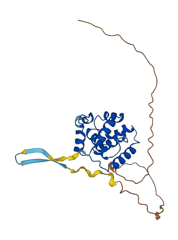 Spdye4a 3D structure