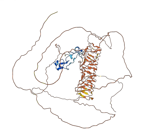 Zfp36l3 3D structure