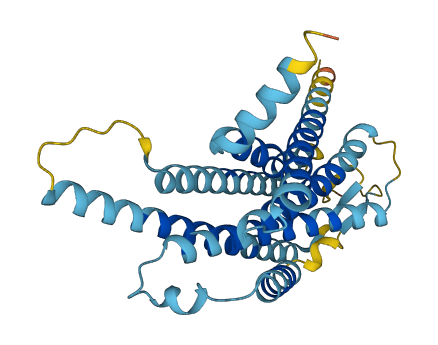 Vom1r90 3D structure