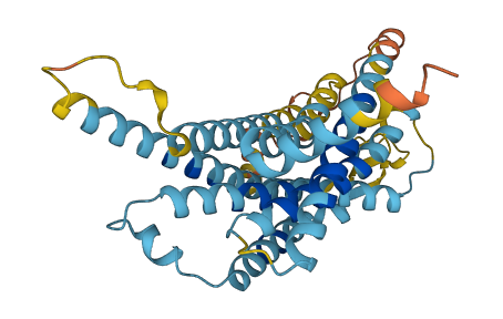 V1ra14 3D structure