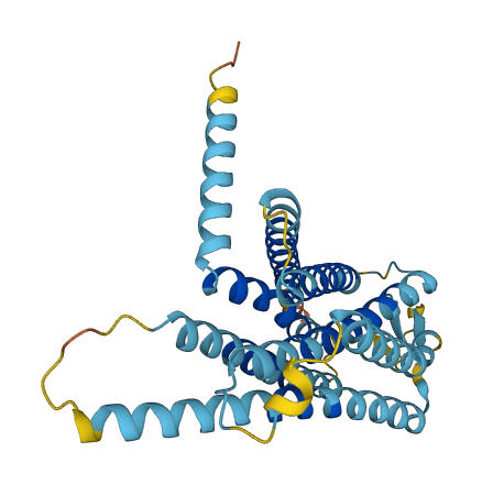 Vom1r96 3D structure