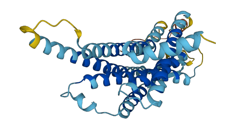 Vom1r94 3D structure