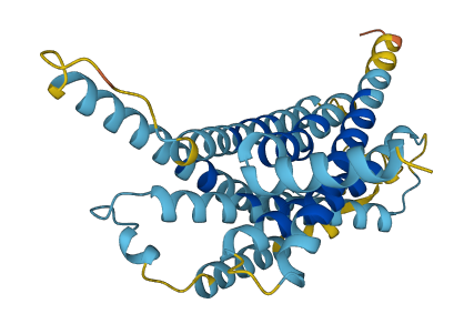 Vom1r97 3D structure