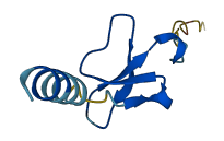 DEFB121 3D structure