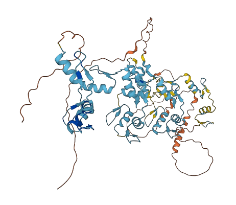 ZNF311 3D structure