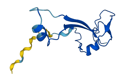 RPS26P11 3D structure