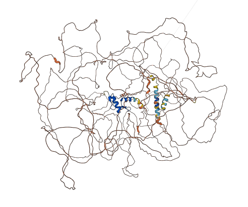 ZNF831 3D structure