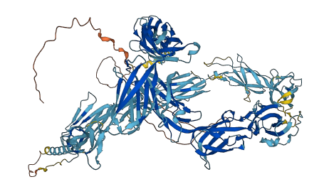 NOMO2 3D structure