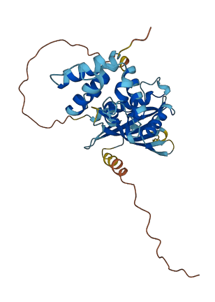 C3orf38 3D structure