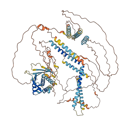 AKAP4 3D structure