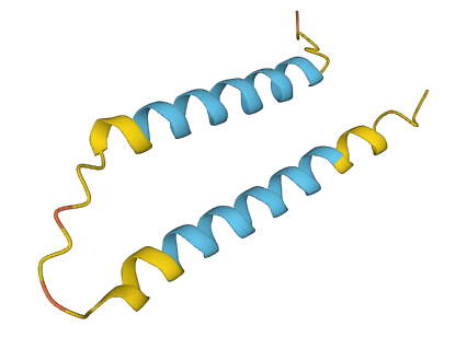 PYY3 3D structure