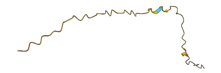 LINC01556 3D structure