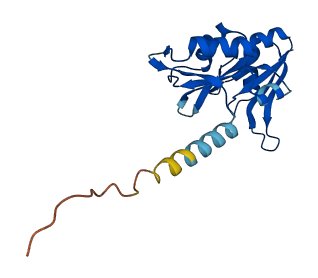 PABPC1L2A 3D structure