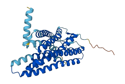 OR2B11 3D structure