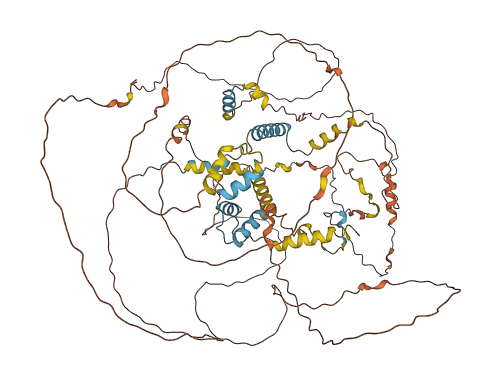 FAM47A 3D structure