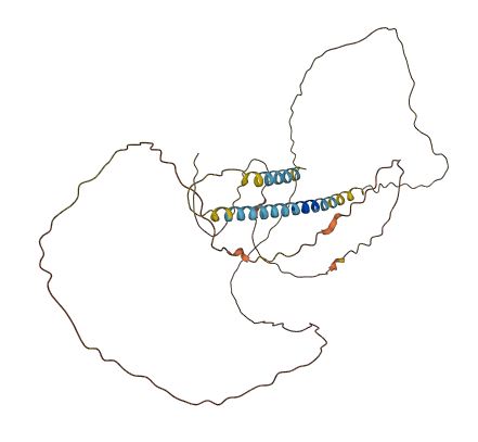 CXorf66 3D structure