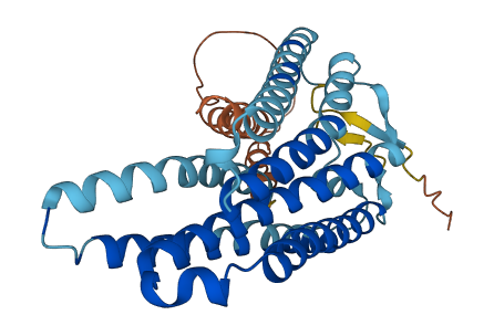 OR10J3 3D structure