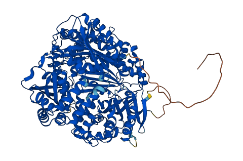 PITRM1 3D structure