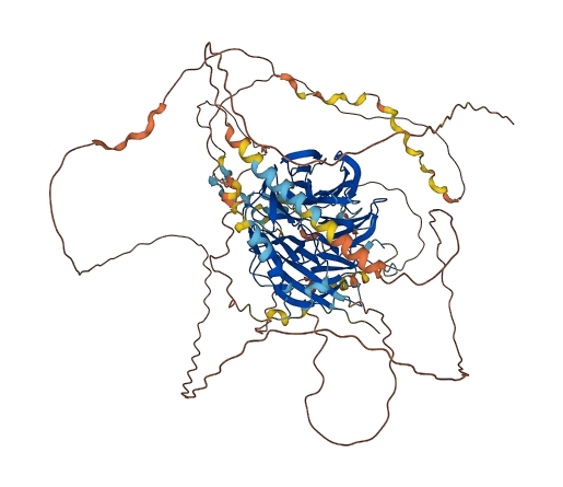 WDR44 3D structure