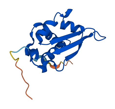 KHDC1L 3D structure
