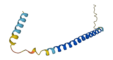PLAC9 3D structure