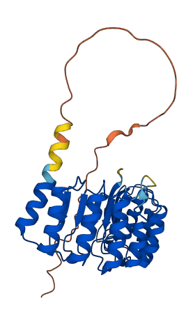 LRRC73 3D structure
