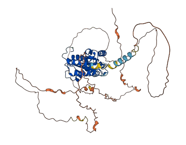 TOR1AIP1 3D structure
