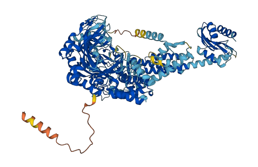 AARS2 3D structure