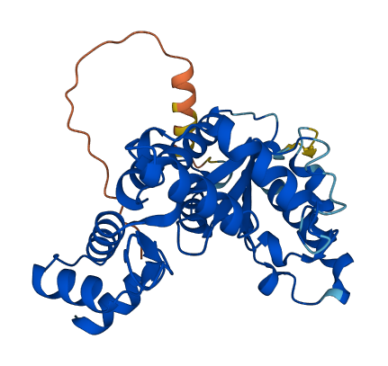 TOR2A 3D structure