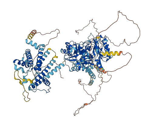 KCNT1 3D structure