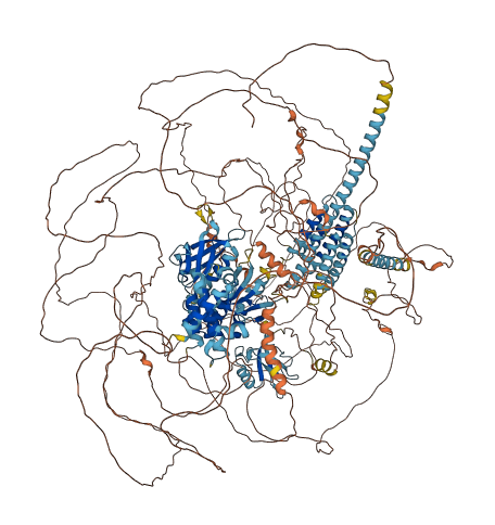 FRMPD3 3D structure