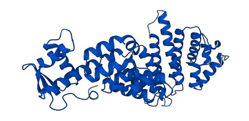 PCID2 3D structure