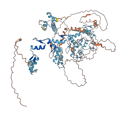 ZNF484 3D structure