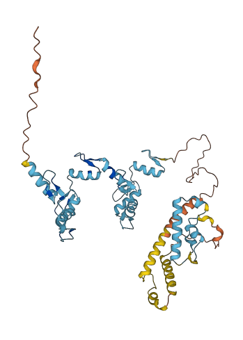 ZNF506 3D structure