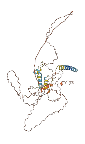 C1orf141 3D structure