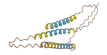 FAM209B 3D structure