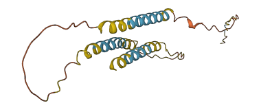 FAM209A 3D structure