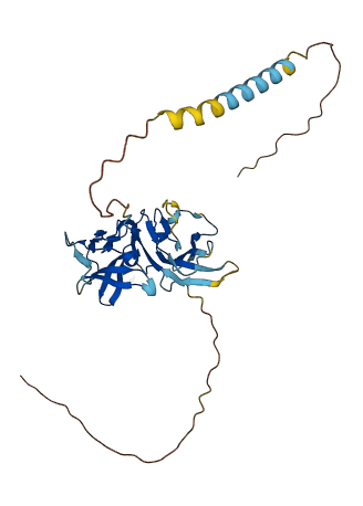 SIRPB2 3D structure