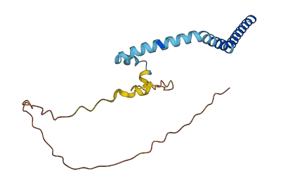 TMEM31 3D structure