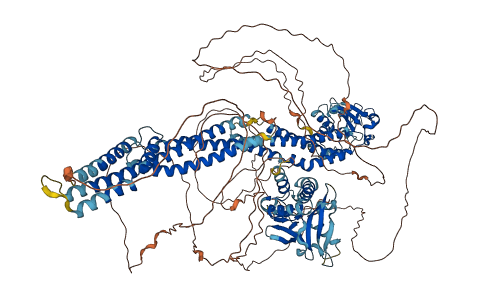 KIAA1755 3D structure