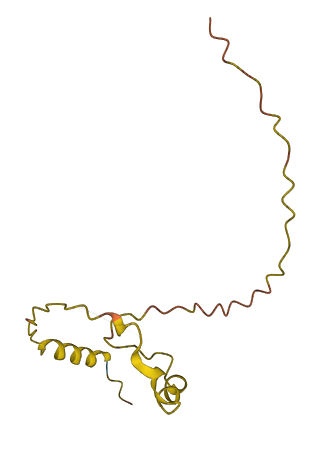 CLLU1OS 3D structure