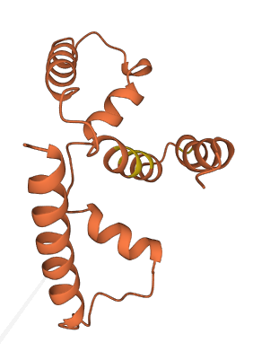 CLLU1 3D structure
