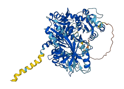 SLC27A3 3D structure