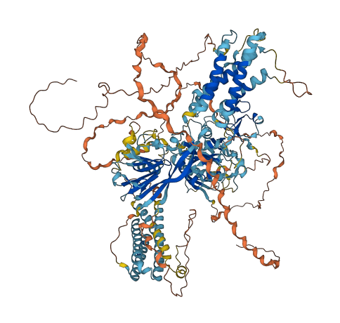 DGKK 3D structure