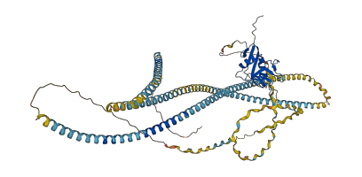 COLEC12 3D structure