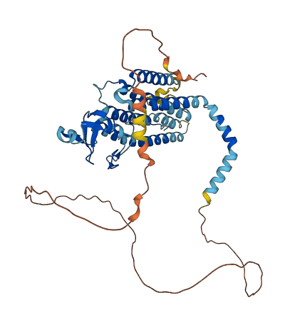 RNFT1 3D structure