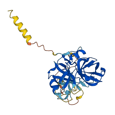 Prss46 3D structure