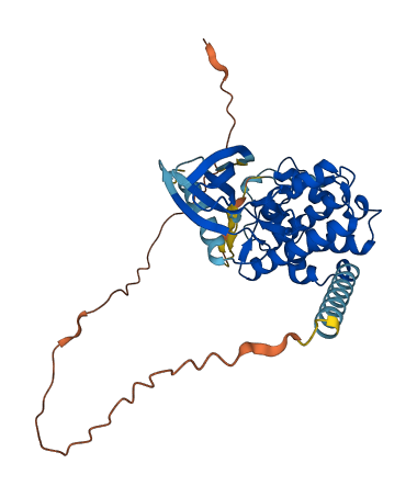 CDKL4 3D structure