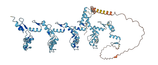 ZNF569 3D structure