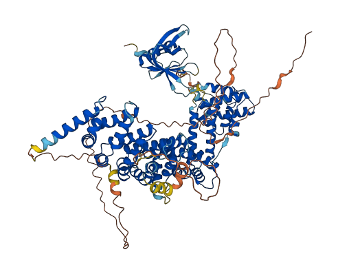 PPP4R3B 3D structure